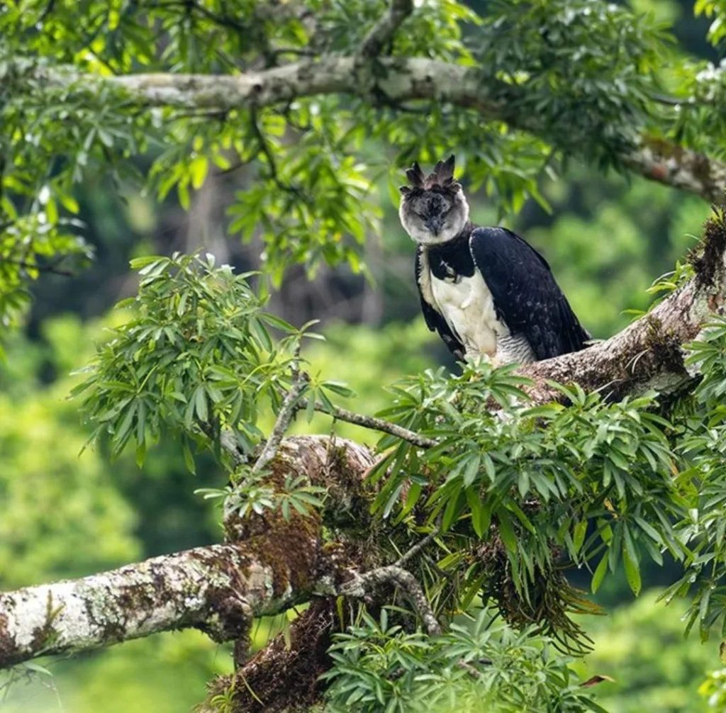 Actividad 2